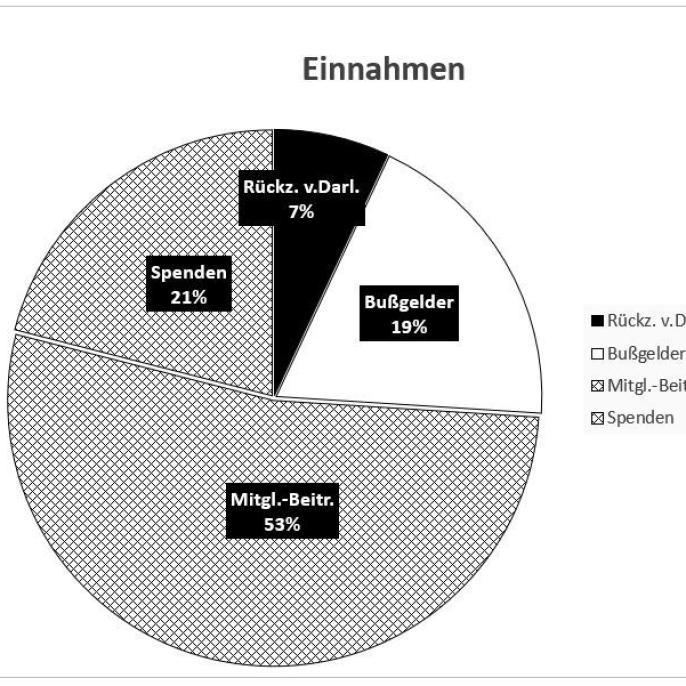 Einnahmen 2024 des Verein für Straffälligenhilfe Werl e.V.